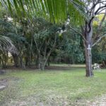 listing image thumbnail with ID 81757
