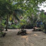 listing image thumbnail with ID 76916