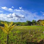 listing image thumbnail with ID 108032