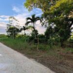 listing image thumbnail with ID 78955