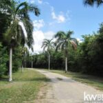 listing image thumbnail with ID 75686