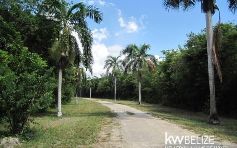 listing image with ID 75686