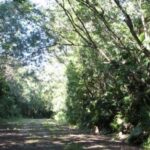 listing image thumbnail with ID 86252