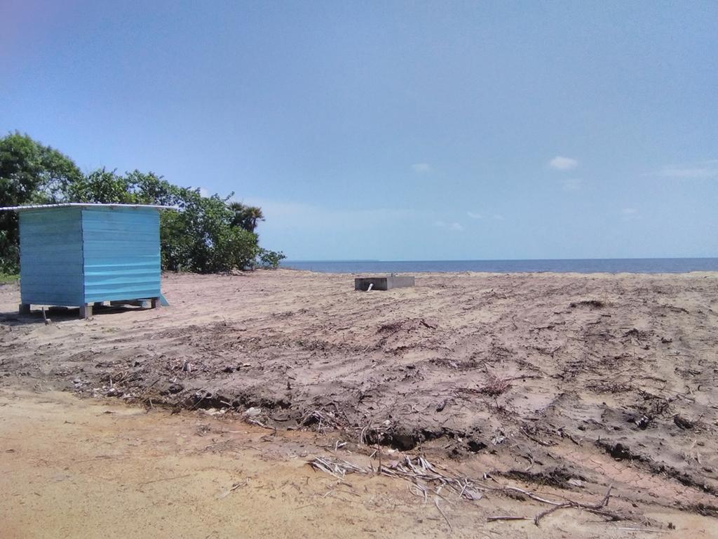 listing image with ID 85533