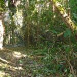 listing image thumbnail with ID 77022