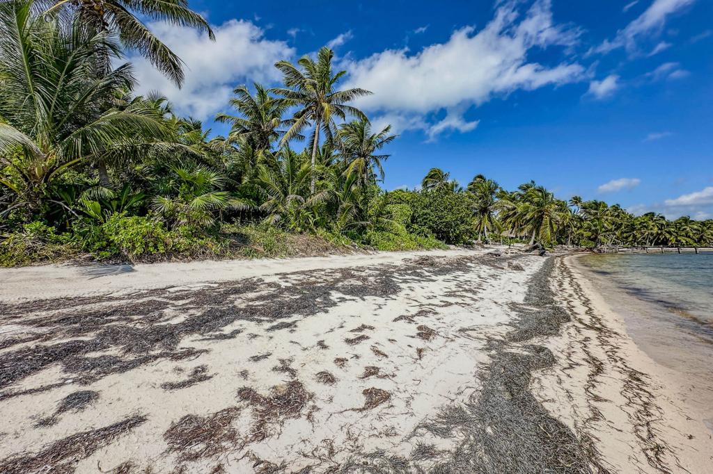 listing image with ID 108345