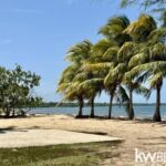 listing image thumbnail with ID 87079