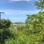 listing image thumbnail with ID 100266