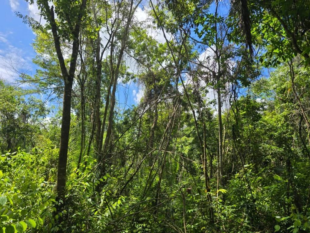 listing image with ID 98578