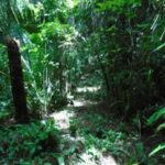 listing image thumbnail with ID 86753