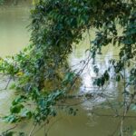 listing image thumbnail with ID 104721