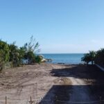 listing image thumbnail with ID 83314