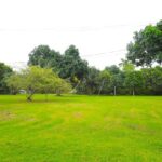 listing image thumbnail with ID 108218