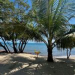 listing image thumbnail with ID 89426