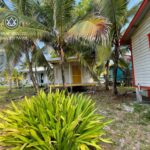 listing image thumbnail with ID 99842