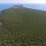 listing image thumbnail with ID 102919