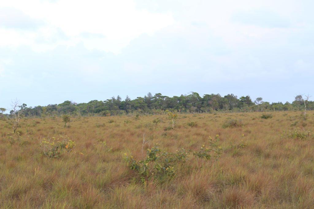 listing image with ID 103667