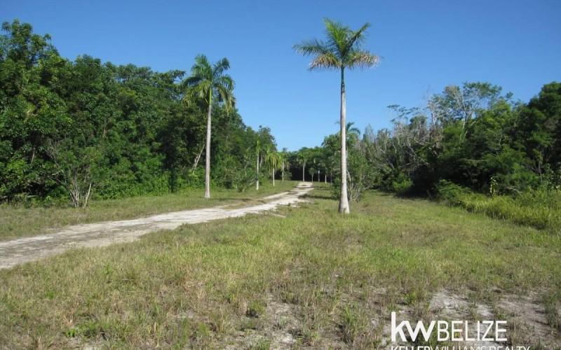 listing image with ID 107354