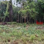 listing image thumbnail with ID 87259