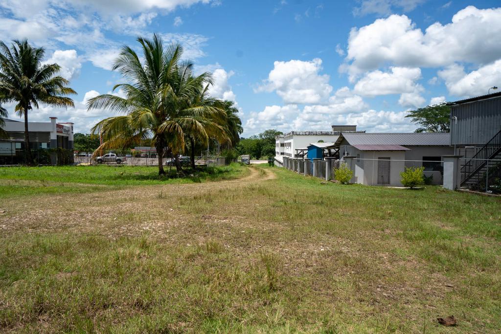 listing image with ID 90925