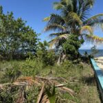 listing image thumbnail with ID 79578