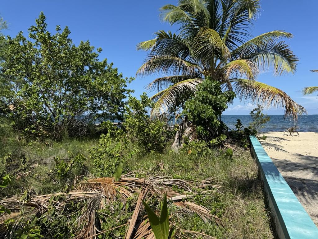 listing image with ID 79578