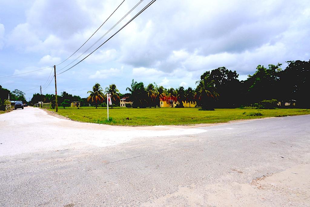 listing image with ID 94201