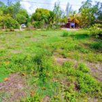 listing image thumbnail with ID 78042