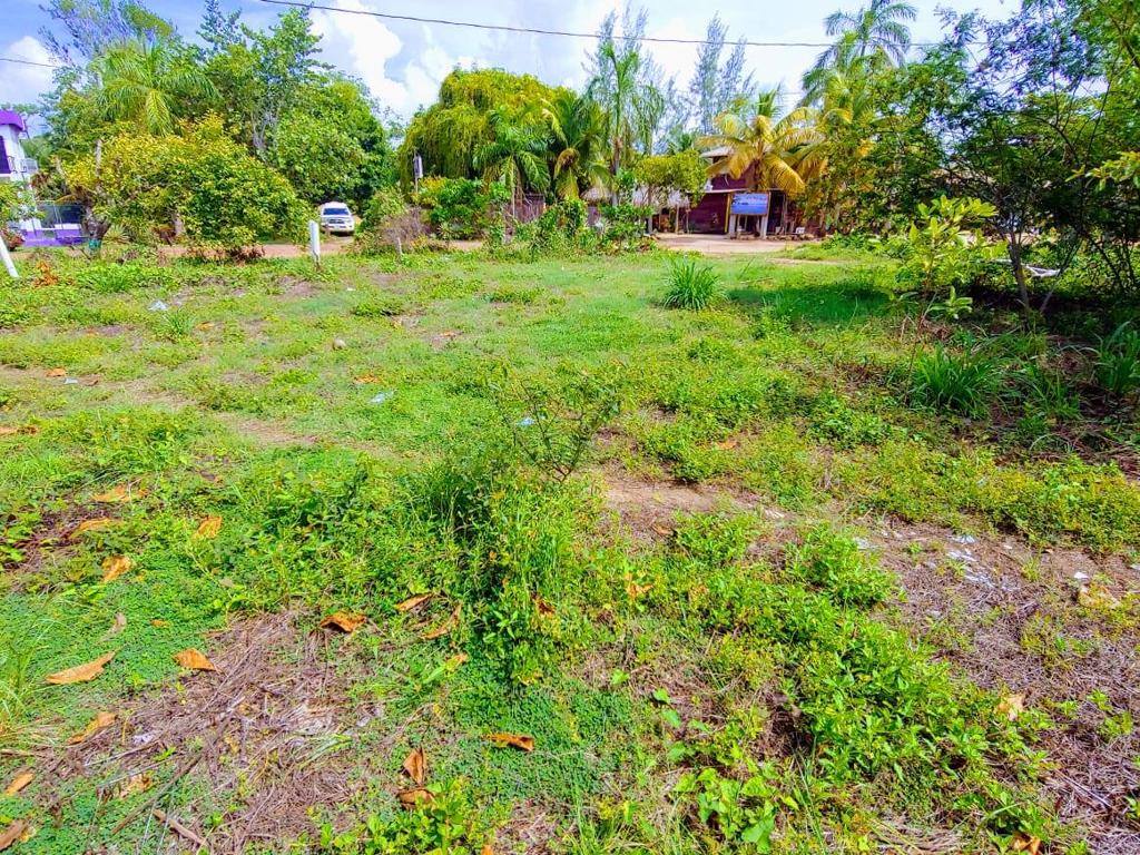 listing image with ID 78042