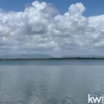 listing image thumbnail with ID 107042