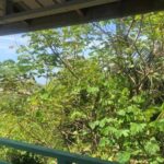 listing image thumbnail with ID 100273