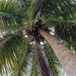listing image thumbnail with ID 76060