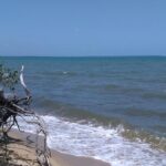 listing image thumbnail with ID 84953