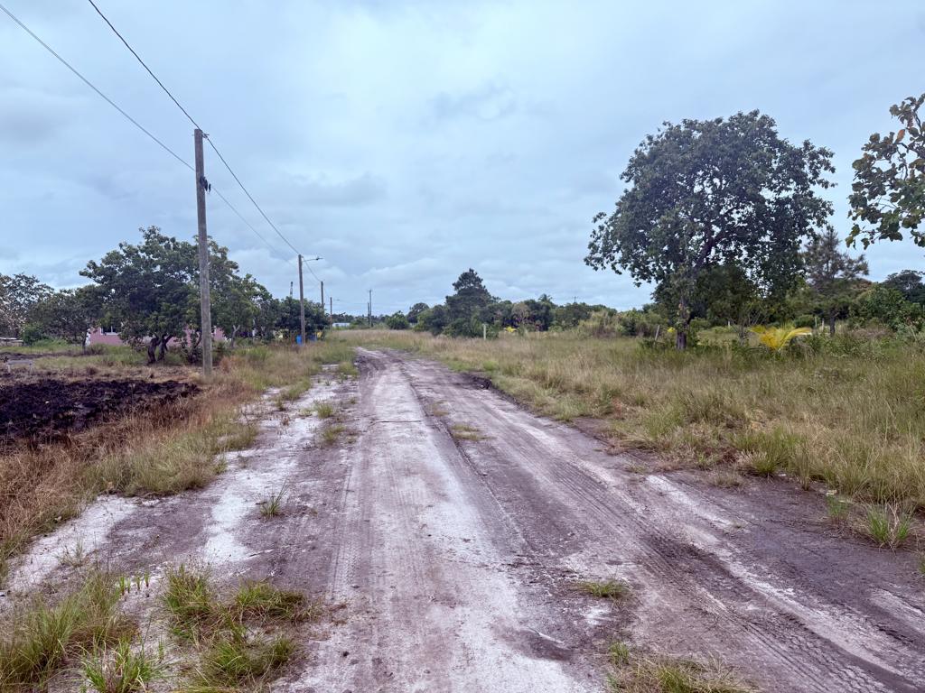 listing image with ID 101057