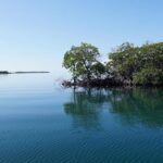 listing image thumbnail with ID 95979
