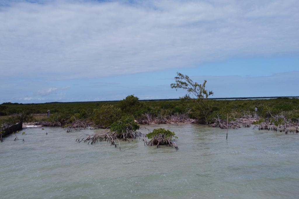 listing image with ID 101188