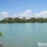 listing image thumbnail with ID 75697