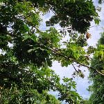 listing image thumbnail with ID 103857