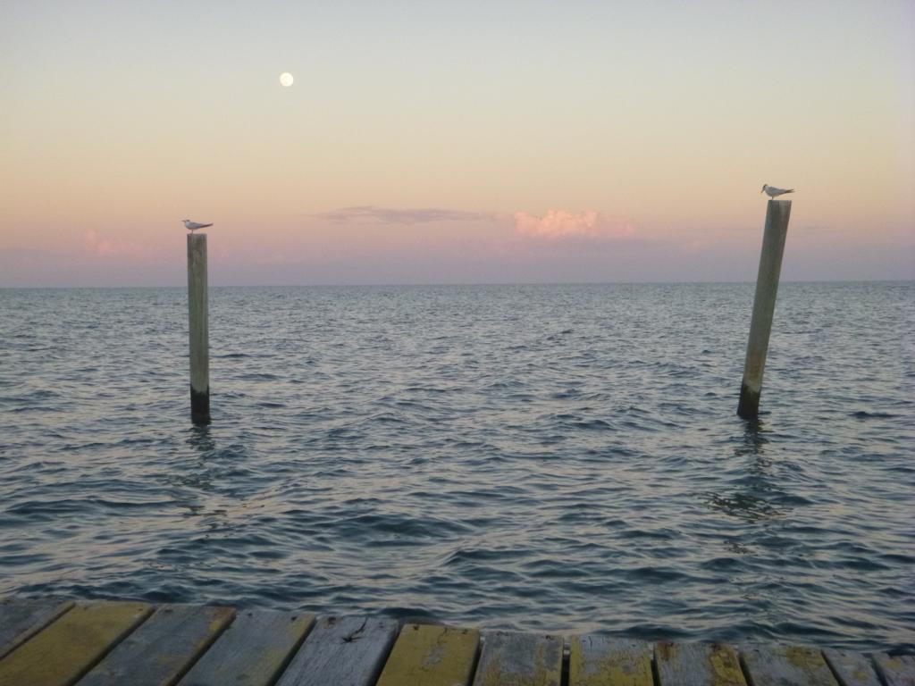 listing image with ID 80152