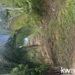 listing image thumbnail with ID 85991