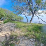 listing image thumbnail with ID 100754