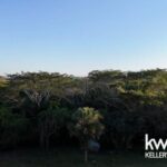 listing image thumbnail with ID 103260