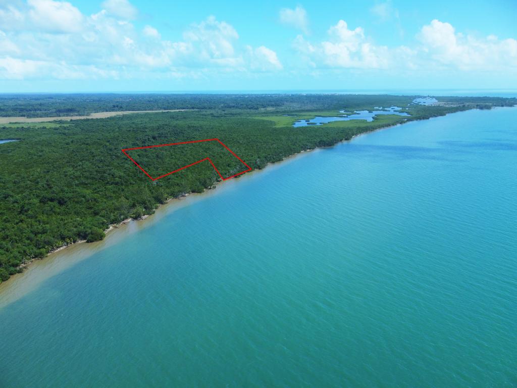 listing image with ID 79309