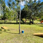 listing image thumbnail with ID 107845