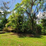 listing image thumbnail with ID 76521