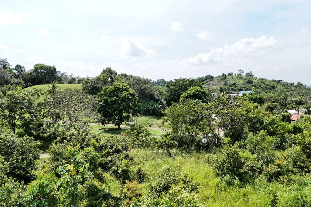 listing image with ID 86769
