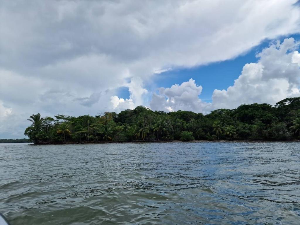 listing image with ID 76077