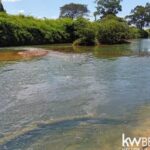 listing image thumbnail with ID 102485