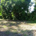 listing image thumbnail with ID 81696