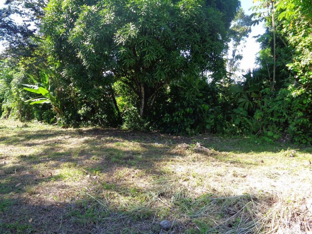 listing image with ID 81696
